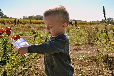 child agriculture